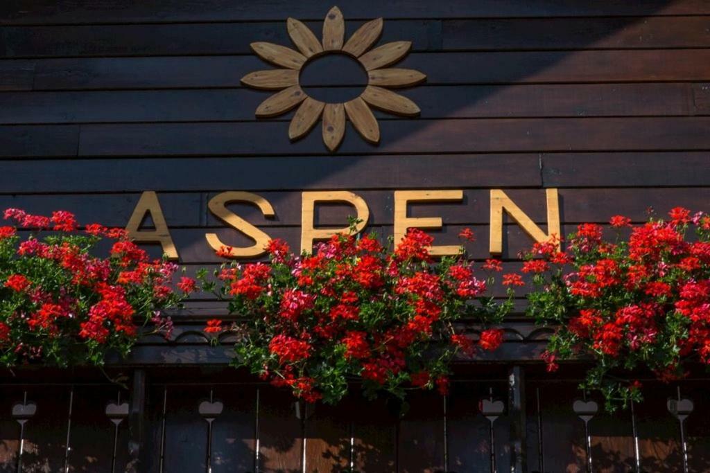 Apartmán Aspen Nová Lesná Exteriér fotografie